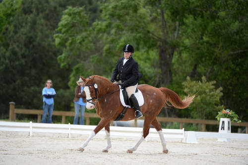 So8ths-5-3-13-Dressage-5335-ErinHite-Codachrome-DDeRosaPhoto