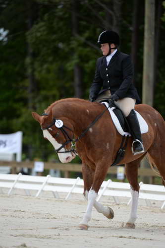 So8ths-5-3-13-Dressage-5346-ErinHite-Codachrome-DDeRosaPhoto