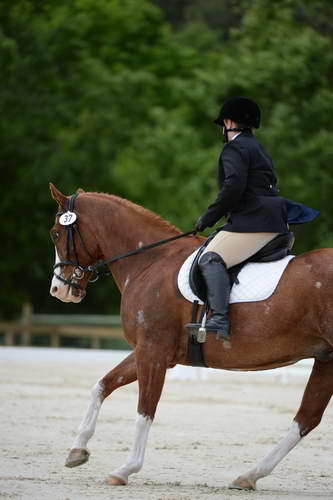 So8ths-5-3-13-Dressage-5347-ErinHite-Codachrome-DDeRosaPhoto