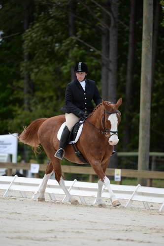 So8ths-5-3-13-Dressage-5348-ErinHite-Codachrome-DDeRosaPhoto