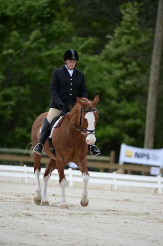 So8ths-5-3-13-Dressage-5354-ErinHite-Codachrome-DDeRosaPhoto