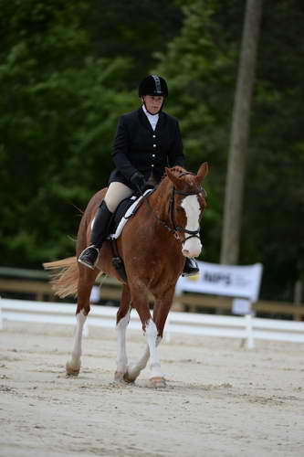 So8ths-5-3-13-Dressage-5355-ErinHite-Codachrome-DDeRosaPhoto