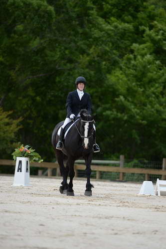 So8ths-5-3-13-Dressage-5361-LauraWellbaum-OhSullivan-DDeRosaPhoto