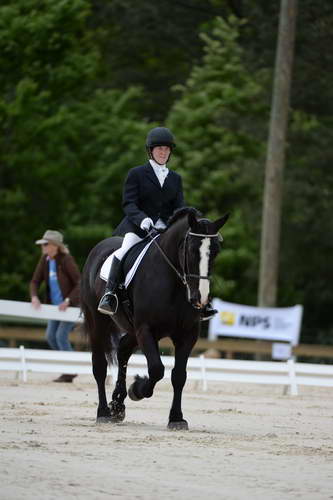 So8ths-5-3-13-Dressage-5362-LauraWellbaum-OhSullivan-DDeRosaPhoto