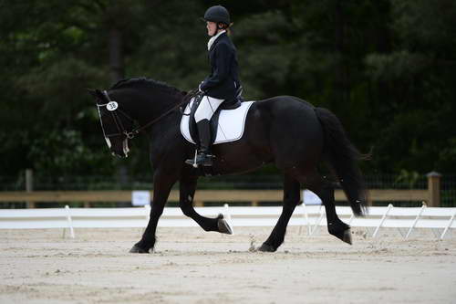 So8ths-5-3-13-Dressage-5366-LauraWellbaum-OhSullivan-DDeRosaPhoto