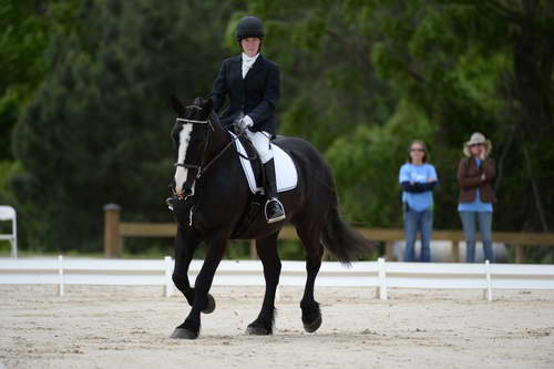 So8ths-5-3-13-Dressage-5367-LauraWellbaum-OhSullivan-DDeRosaPhoto