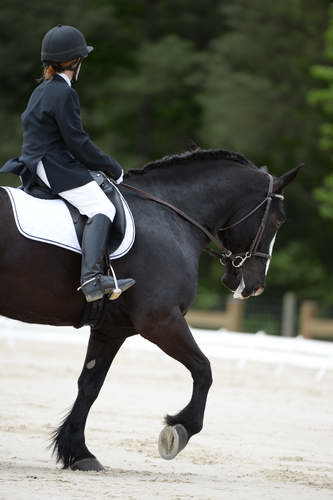 So8ths-5-3-13-Dressage-5370-LauraWellbaum-OhSullivan-DDeRosaPhoto