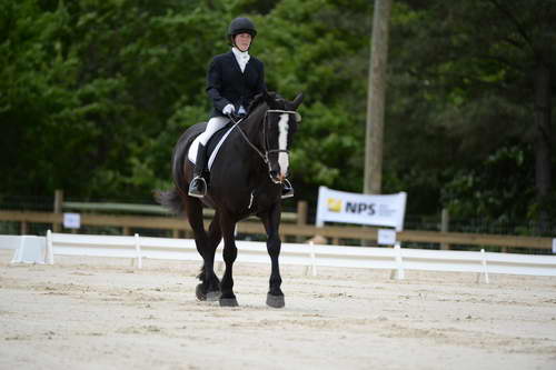 So8ths-5-3-13-Dressage-5372-LauraWellbaum-OhSullivan-DDeRosaPhoto