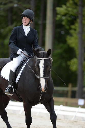 So8ths-5-3-13-Dressage-5374-LauraWellbaum-OhSullivan-DDeRosaPhoto