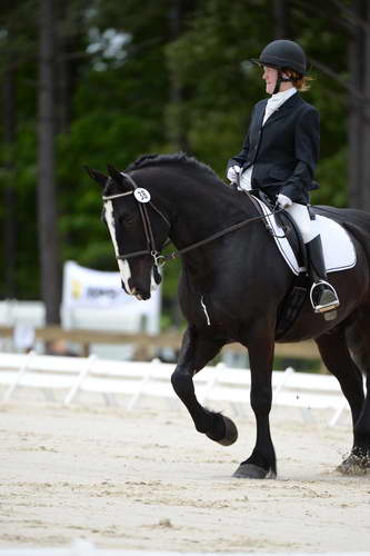 So8ths-5-3-13-Dressage-5377-LauraWellbaum-OhSullivan-DDeRosaPhoto