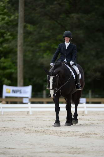 So8ths-5-3-13-Dressage-5379-LauraWellbaum-OhSullivan-DDeRosaPhoto