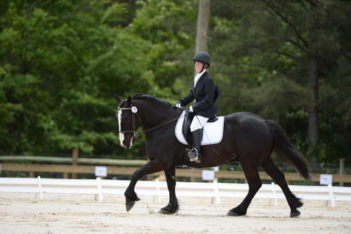 So8ths-5-3-13-Dressage-5383-LauraWellbaum-OhSullivan-DDeRosaPhoto