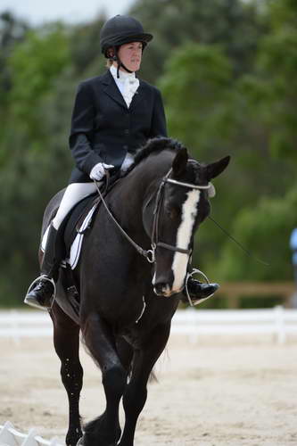 So8ths-5-3-13-Dressage-5384-LauraWellbaum-OhSullivan-DDeRosaPhoto