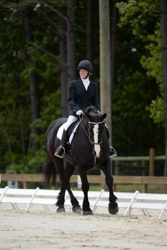 So8ths-5-3-13-Dressage-5386-LauraWellbaum-OhSullivan-DDeRosaPhoto