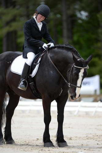 So8ths-5-3-13-Dressage-5395-LauraWellbaum-OhSullivan-DDeRosaPhoto