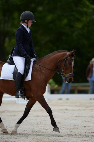 So8ths-5-3-13-Dressage-5404-SaraMiles-Misty'sRainDrop-DDeRosaPhoto