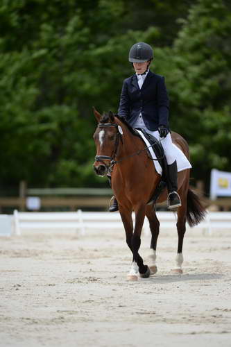 So8ths-5-3-13-Dressage-5411-SaraMiles-Misty'sRainDrop-DDeRosaPhoto