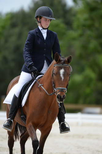 So8ths-5-3-13-Dressage-5417-SaraMiles-Misty'sRainDrop-DDeRosaPhoto