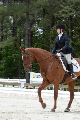 So8ths-5-3-13-Dressage-5466-PaitonKeen-WorthTheWait-DDeRosaPhoto