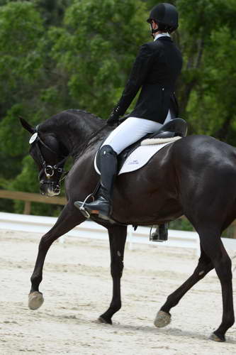 So8ths-5-3-13-Dressage-5500-KaylaAugust-MadamMayhem-DDeRosaPhoto