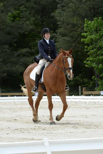 So8ths-5-3-13-Dressage-5536-CarolMahoney-MercuryRising-DDeRosaPhoto