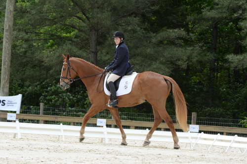 So8ths-5-3-13-Dressage-5539-CarolMahoney-MercuryRising-DDeRosaPhoto