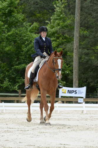 So8ths-5-3-13-Dressage-5541-CarolMahoney-MercuryRising-DDeRosaPhoto