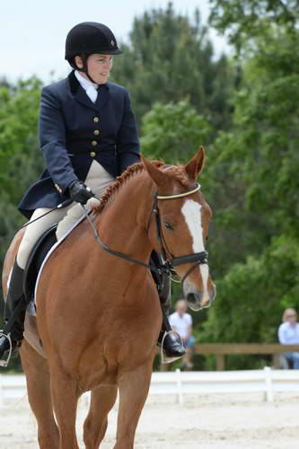 So8ths-5-3-13-Dressage-5557-CarolMahoney-MercuryRising-DDeRosaPhoto