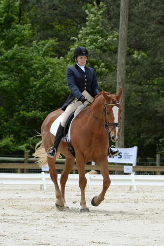 So8ths-5-3-13-Dressage-5565-CarolMahoney-MercuryRising-DDeRosaPhoto