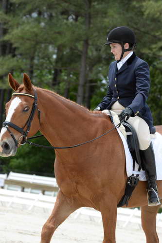 So8ths-5-3-13-Dressage-5567-CarolMahoney-MercuryRising-DDeRosaPhoto