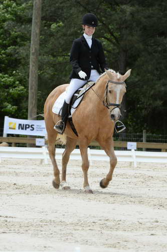 So8ths-5-3-13-Dressage-5583-TaylorPence-Goldie-DDeRosaPhoto