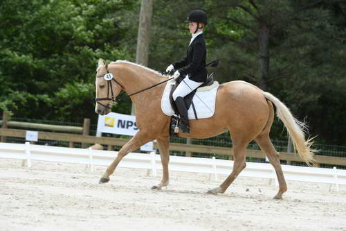 So8ths-5-3-13-Dressage-5597-TaylorPence-Goldie-DDeRosaPhoto