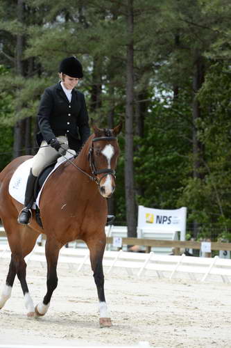 So8ths-5-3-13-Dressage-5637-CatiePannill-KokoaKat-DDeRosaPhoto