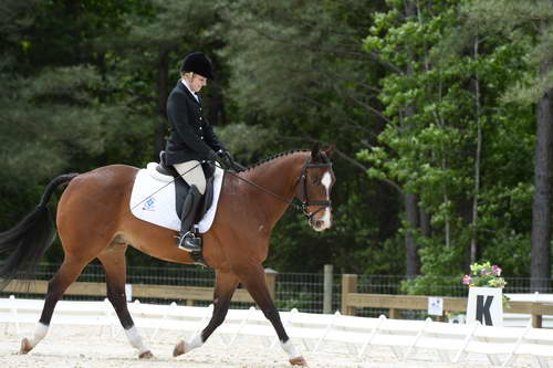 So8ths-5-3-13-Dressage-5640-CatiePannill-KokoaKat-DDeRosaPhoto