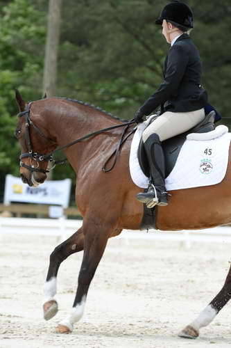 So8ths-5-3-13-Dressage-5659-CatiePannill-KokoaKat-DDeRosaPhoto