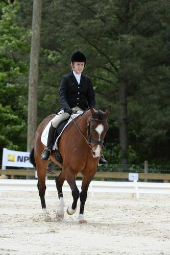 So8ths-5-3-13-Dressage-5662-CatiePannill-KokoaKat-DDeRosaPhoto