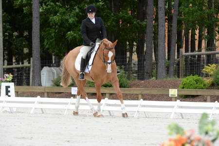 So8ths-5-3-13-Dressage-5033-SarahZimmer-MardiGras-DDeRosaPhoto