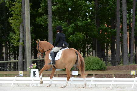 So8ths-5-3-13-Dressage-5041-SarahZimmer-MardiGras-DDeRosaPhoto