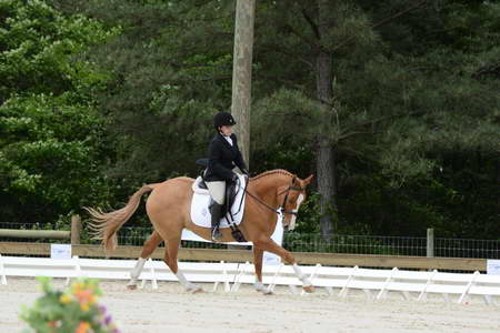 So8ths-5-3-13-Dressage-5055-SarahZimmer-MardiGras-DDeRosaPhoto