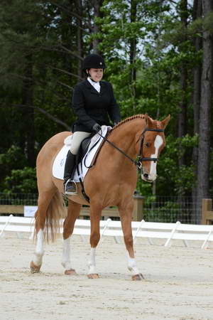 So8ths-5-3-13-Dressage-5064-SarahZimmer-MardiGras-DDeRosaPhoto