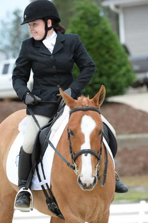 So8ths-5-3-13-Dressage-5070-SarahZimmer-MardiGras-DDeRosaPhoto