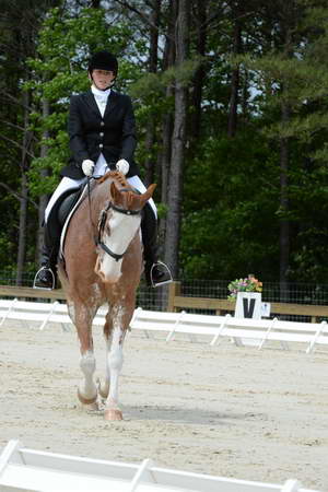 So8ths-5-3-13-Dressage-5128-BrianaTimmerman-ASplashofHenry-DDeRosaPhoto