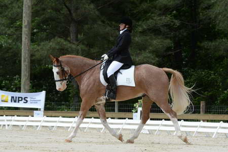 So8ths-5-3-13-Dressage-5134-BrianaTimmerman-ASplashofHenry-DDeRosaPhoto