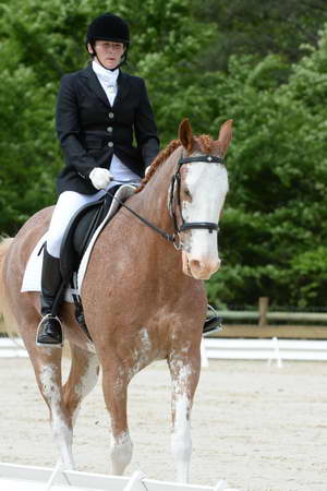 So8ths-5-3-13-Dressage-5135-BrianaTimmerman-ASplashofHenry-DDeRosaPhoto