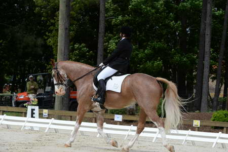 So8ths-5-3-13-Dressage-5137-BrianaTimmerman-ASplashofHenry-DDeRosaPhoto