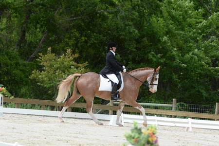 So8ths-5-3-13-Dressage-5140-BrianaTimmerman-ASplashofHenry-DDeRosaPhoto