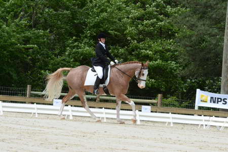 So8ths-5-3-13-Dressage-5141-BrianaTimmerman-ASplashofHenry-DDeRosaPhoto