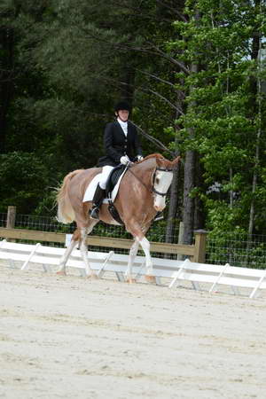 So8ths-5-3-13-Dressage-5144-BrianaTimmerman-ASplashofHenry-DDeRosaPhoto