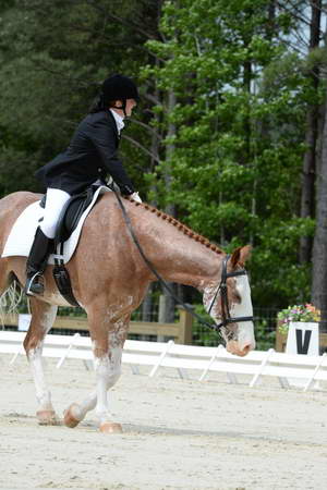 So8ths-5-3-13-Dressage-5158-BrianaTimmerman-ASplashofHenry-DDeRosaPhoto