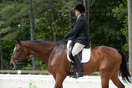 So8ths-5-3-13-Dressage-5194-MannyDiemer-Krugerrand-DDeRosaPhoto